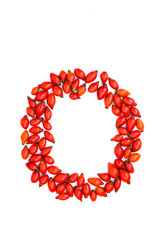 Red hip rose capital letter o