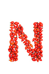 Red hip rose capital letter n