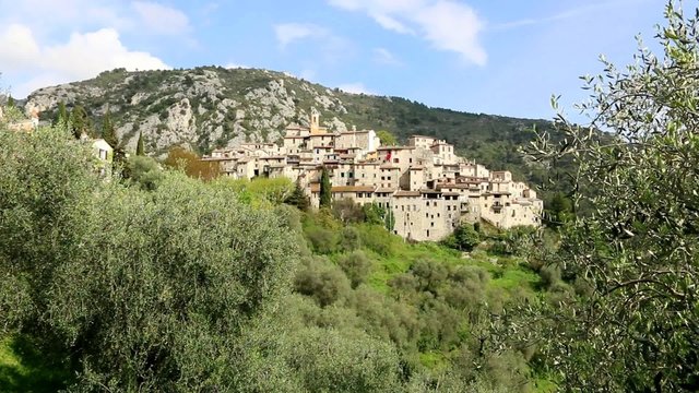 Le village de Peillon parmi les oliviers