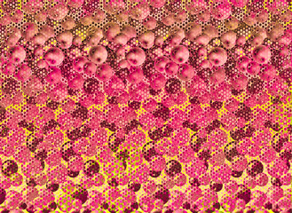 Obraz premium Abstract pattern background of red summer fruit berries with hal