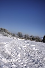 Fototapeta na wymiar Reifenspuren im Schnee