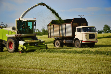Combine harvester mows the field, harvester unloading into a tractor trailer, Slovakia