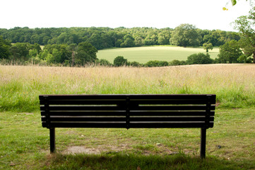 View over parkland with back of a bench in the foreground
