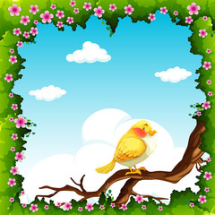 Yellow bird on the branch