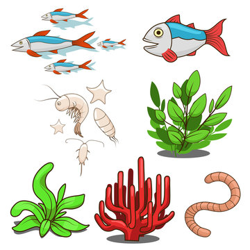 Water animals fish food vector illustration