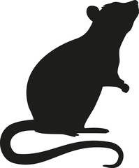 Standing Rat silhouette - 93931051