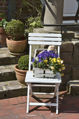 Fototapeta na wymiar Flowers on a Chair