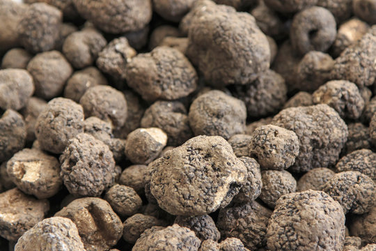 Closeup of black truffles