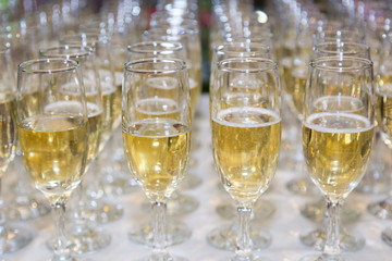 lot of wedding glasses filled with champagne, ready to be served