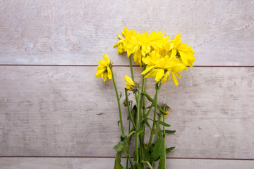 Dried yellow flowers on rustic wooden planks 