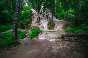 Naklejka na ściany i meble Bua Tong (Sticky waterfall) in north,Chiangmai,Thailand.