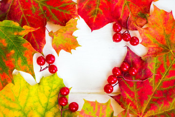 Naklejka na ściany i meble Border Frame of Colorful Autumn Leaves and Berries