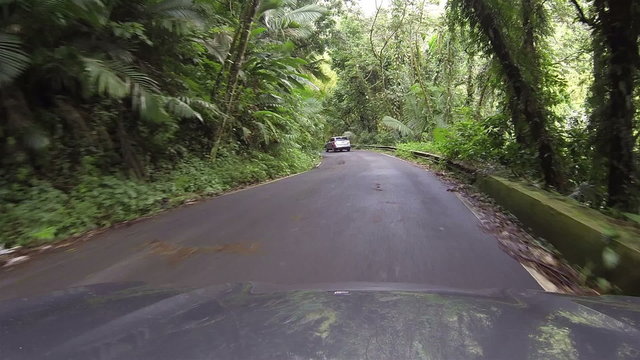 El Yunque Rainforest driving POV 1 HD 0242
