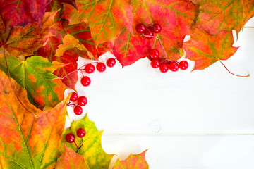 Border Frame of Colorful Autumn Leaves and Berries