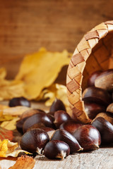 Fresh edible chestnuts spill out of a wicker basket on autumn ba