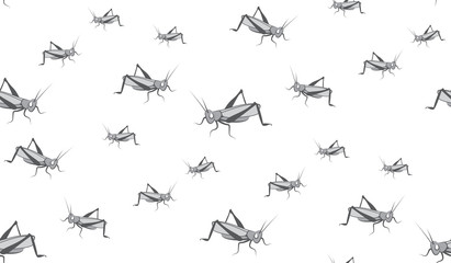 Background of grasshoppers. Seamless background of crickets.