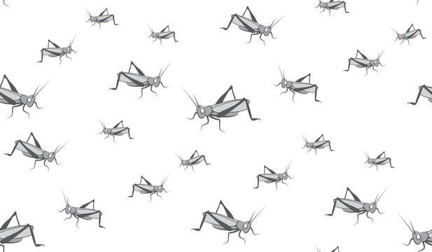 Background of grasshoppers. Seamless background of crickets.