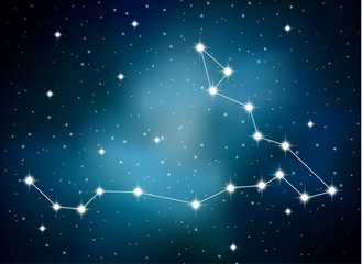 Horoscope zodiac sign of the pisces on the astrological space background