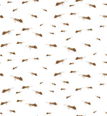 Vector seamless background of ants. Chaotic ants on a white background.