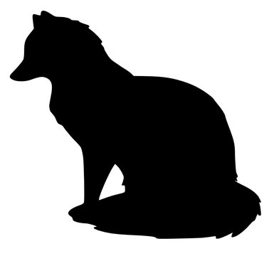 Sitzender Fuchs, Silhouette