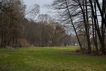 Fototapeta na wymiar Meadow in the woods in Slovakia. spring time, cloudy sky