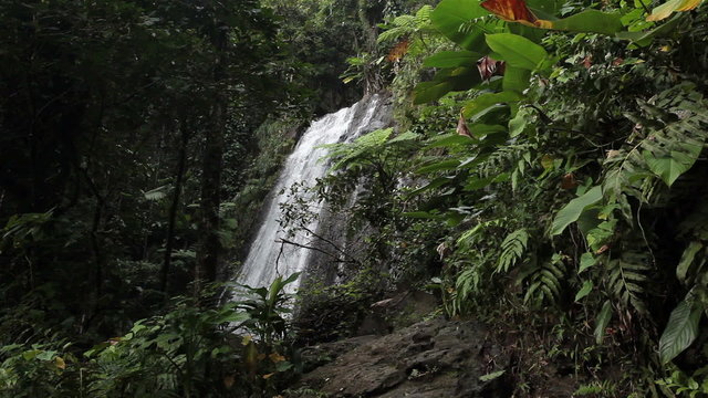Waterfall El Yunque National Park Rainforest Puerto Rico HD 1764