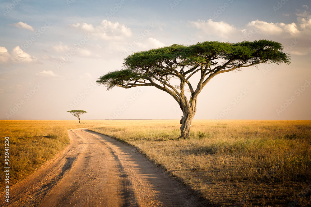 Wall mural african landscape - tanzania