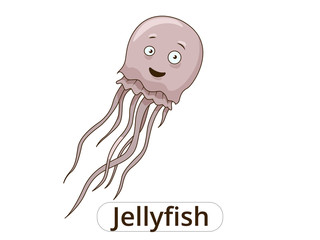 Jellyfish underwater animal cartoon illustration