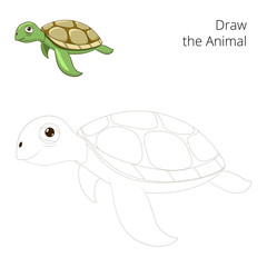 Draw the sea animal turtle educational 