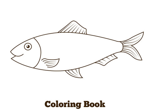 Coloring book herring fish cartoon  illustration