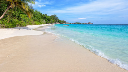 Fototapeta na wymiar Beautiful landscape of blue sky coconut sea sand and waves on the beach during summer at Koh Miang island in Mu Ko Similan National Park, Phang Nga province, Thailand, 16:9 widescreen