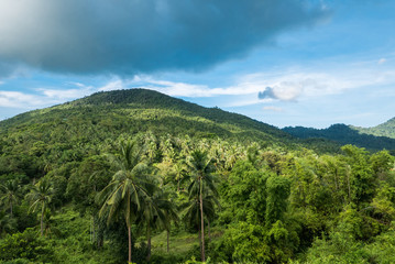 Fototapeta na wymiar Beautiful tropical landscape from view point of Koh Phangan