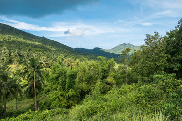 Fototapeta na wymiar Beautiful tropical landscape from view point of Koh Phangan