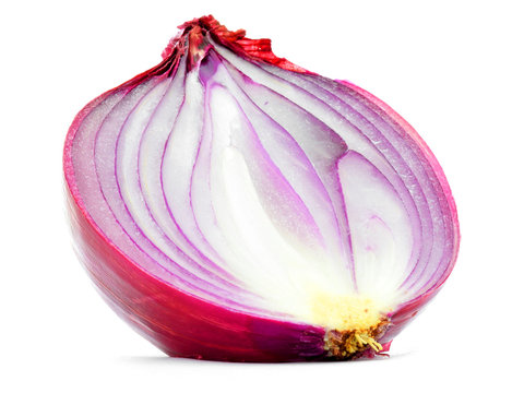 Red onion bulb half cut vertical longitudinal section isolated