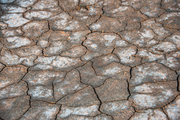 Background of dry cracked ground