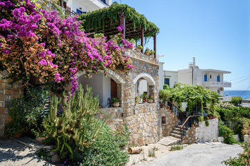 Fototapeta na wymiar Traditional Greek stone house with bougainvillea flowers around it