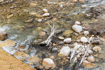 Landscape with forest, river and stones in Turkey