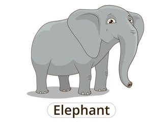 Elephant african savannah cartoon illustration