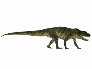 Postosuchus Reptile Profile - Postosuchus was a aquatic predatory reptile that lived in North America in the Triassic Period.