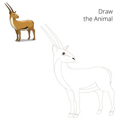 Draw animal gazelle educational game 