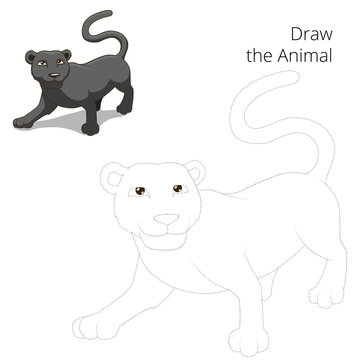Draw animal panther educational game 
