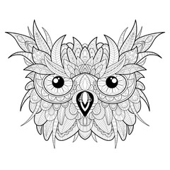 Hand drawn cute owl portrait for adult coloring page