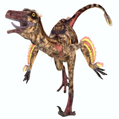 Troodon Reptile - Troodon was a carnivorous small dinosaur that lived in North America during the Cretaceous Period.
