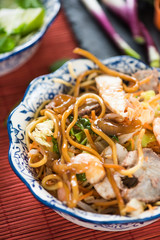 Obraz na płótnie Canvas pork and chicken chinese chow mein dish