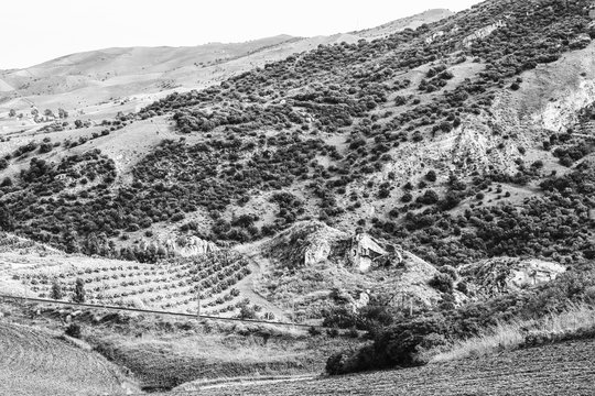 Fototapeta Elegant Black and White Landscape of Sicily