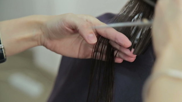 Hairdresser trimming brown hair with scissors