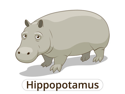 Hippopotamus african savannah animal cartoon 