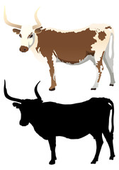 Cow with Silhouette - 93952407