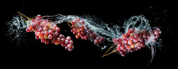 Grapes bunches in water splash over black background