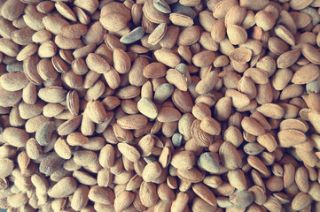 Raw almonds pile on a rustic table after the harvest.